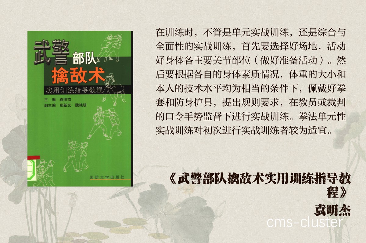 比赛期训练示例