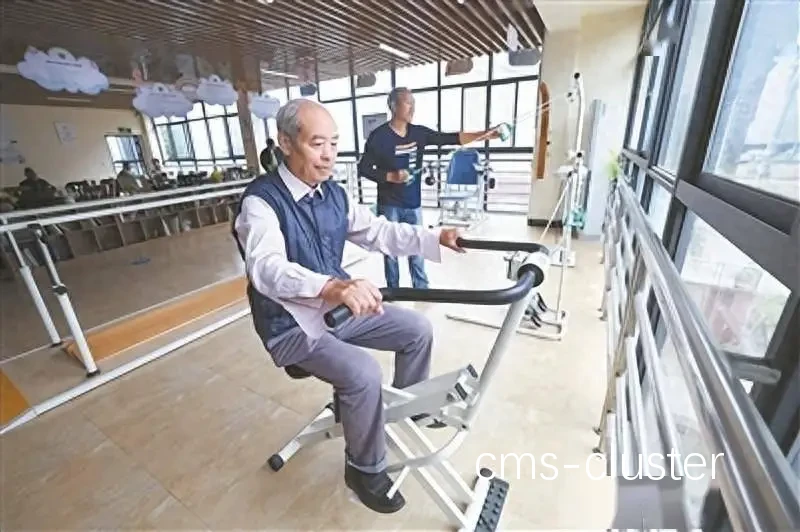 功能性训练示例