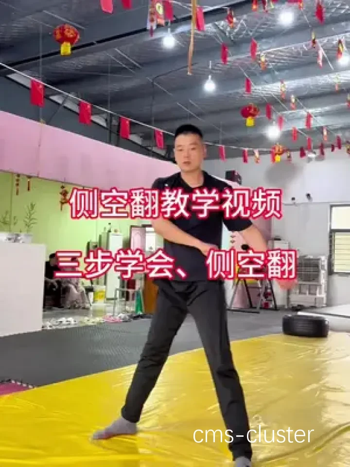 观看训练视频示例