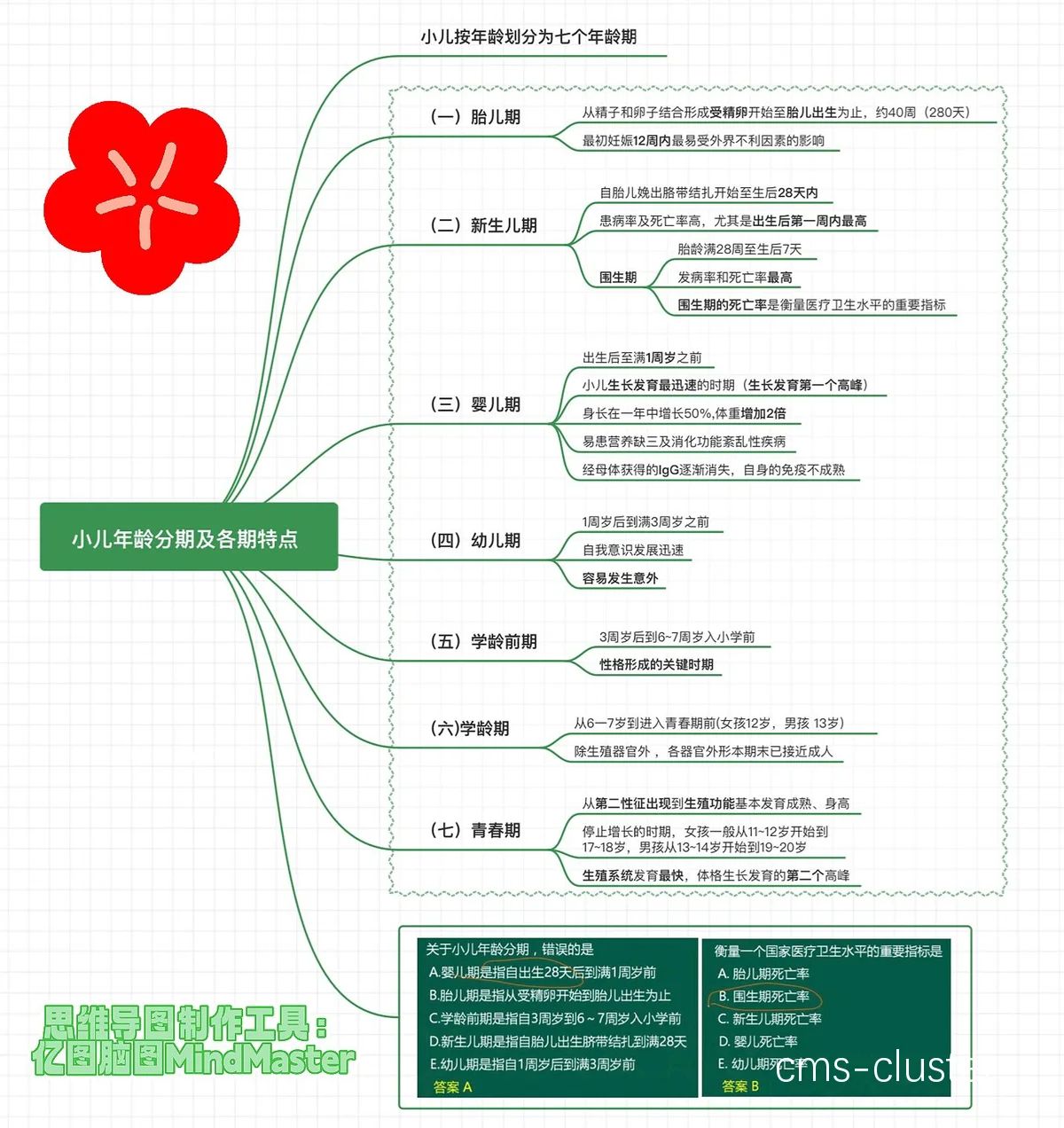 基于年龄的分阶段训练示意图