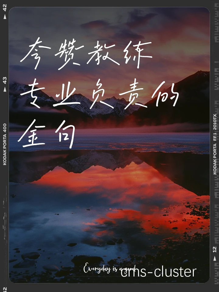 教练与球员互动