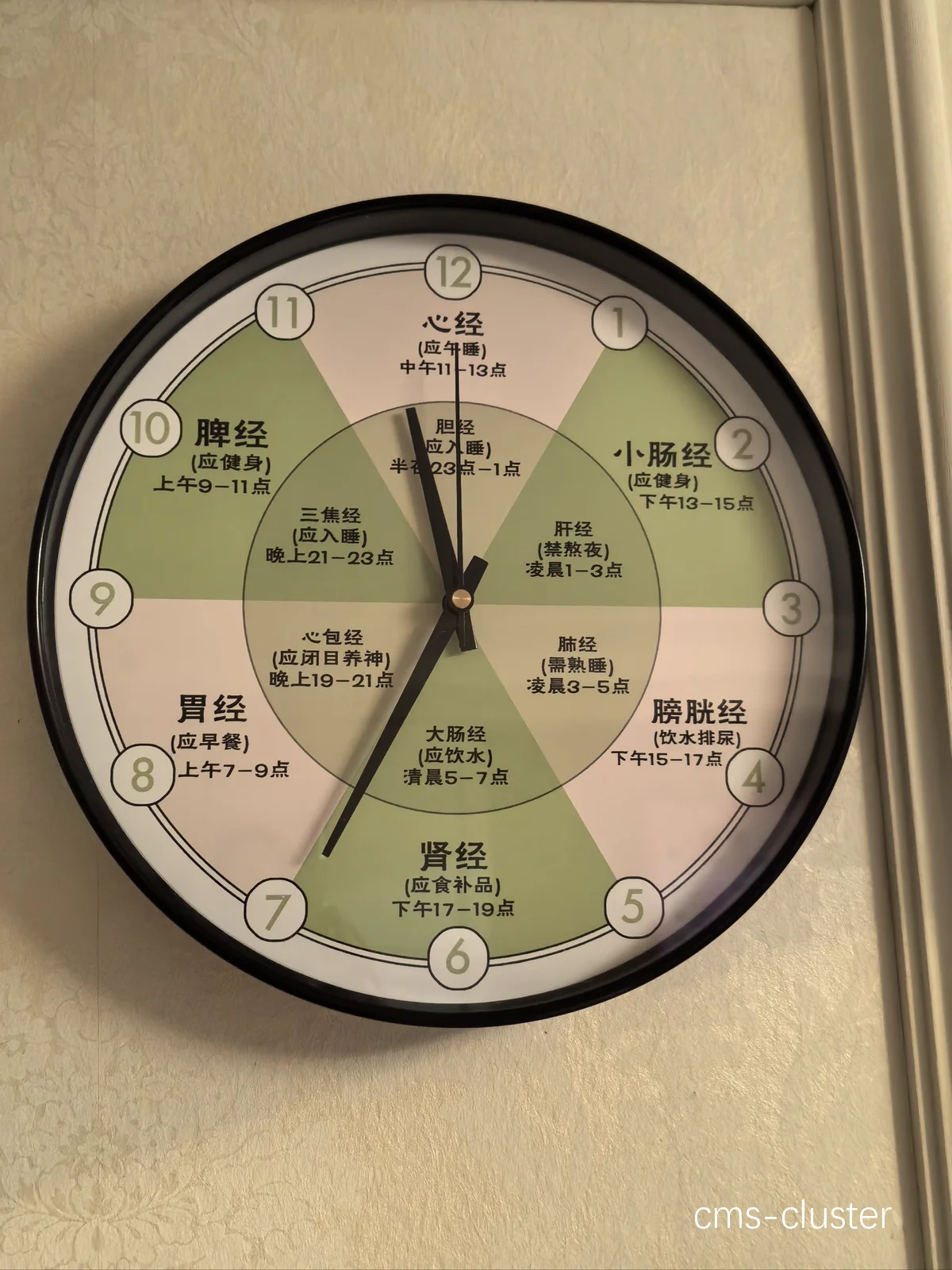科学训练周期示意图