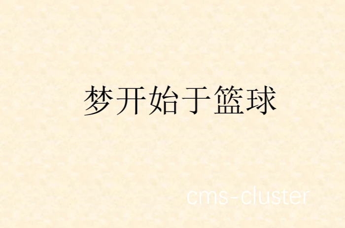篮球梦想