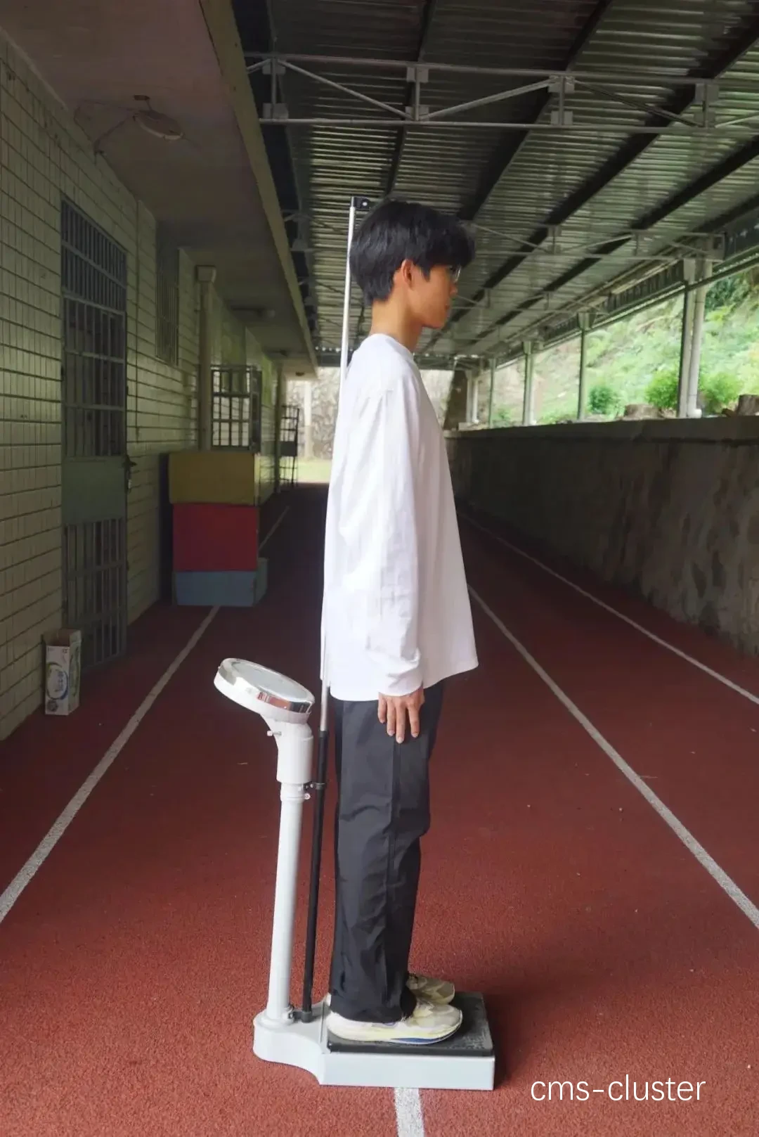 篮球体能测试示例