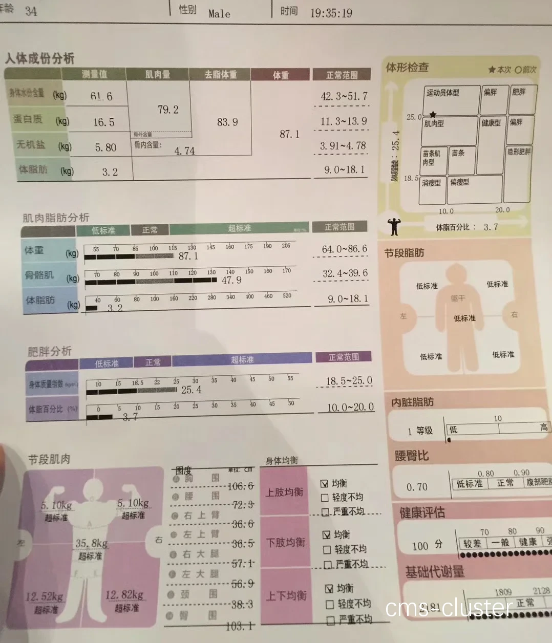篮球训练报告示例