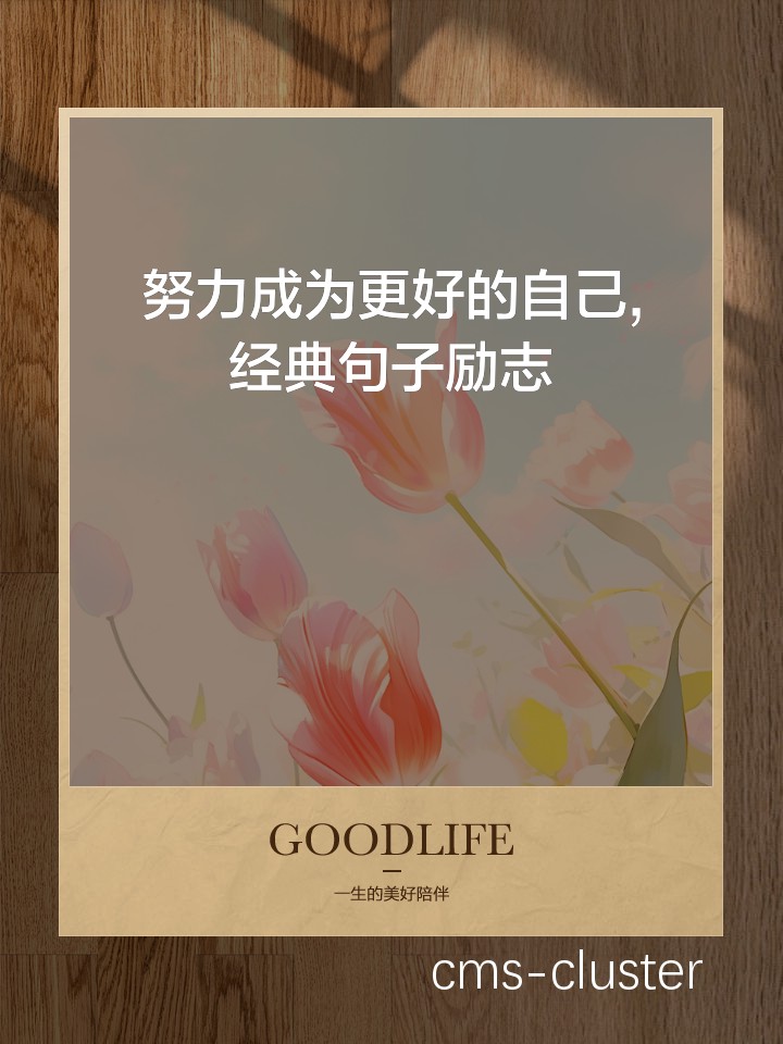篮球训练成果展示