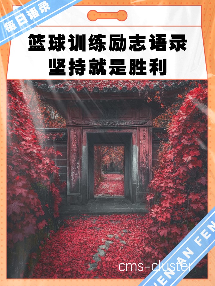 篮球训练成果展示
