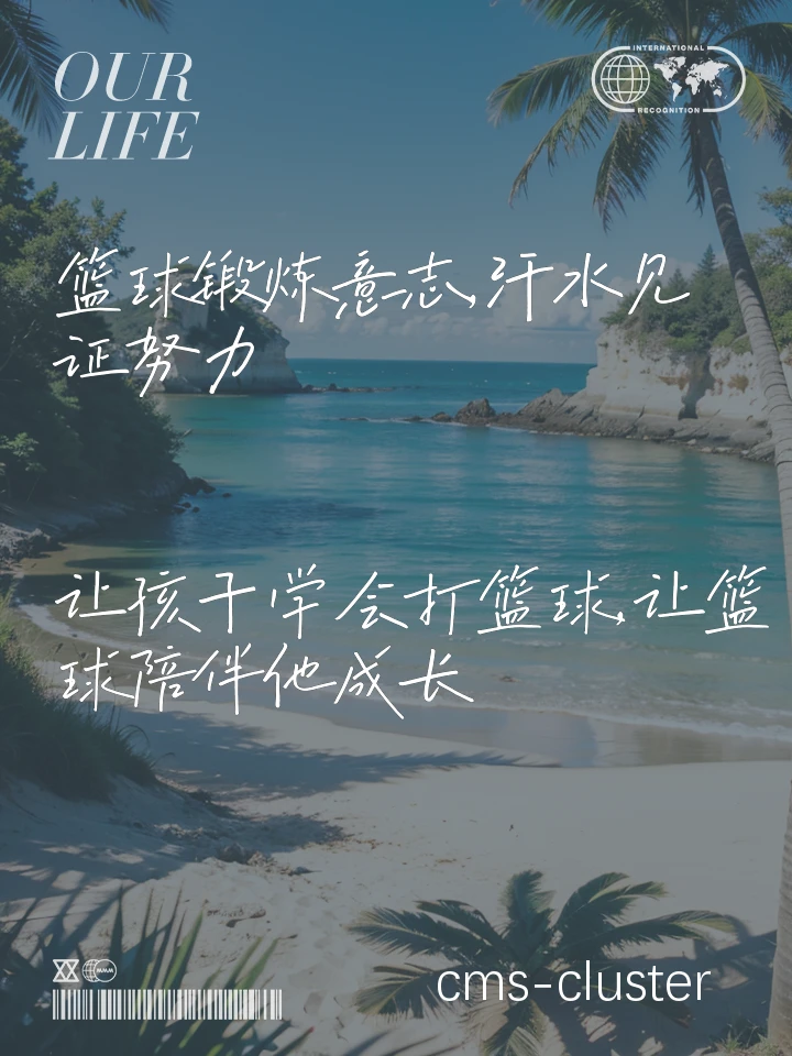 篮球训练的重要性