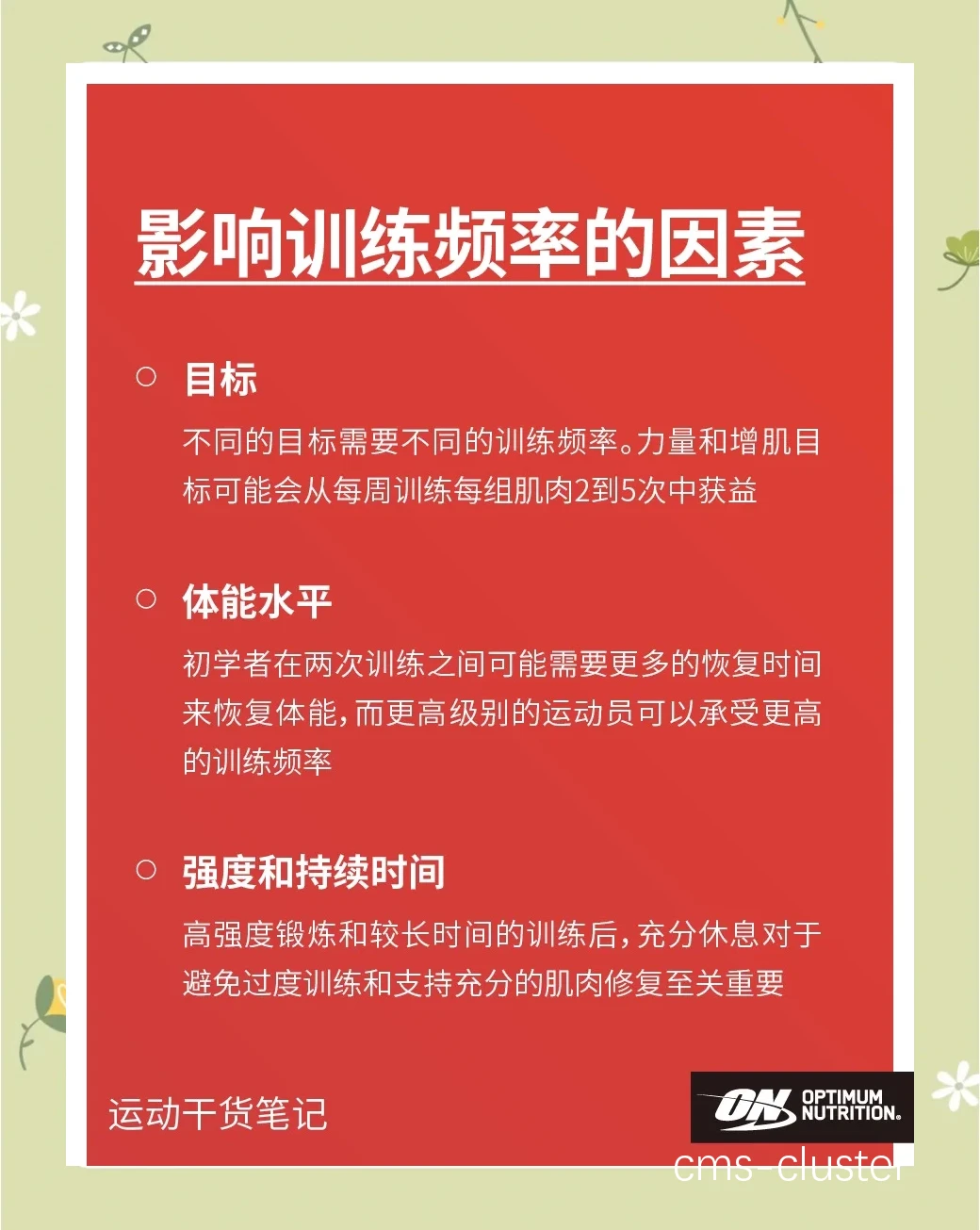 篮球训练频率的重要性