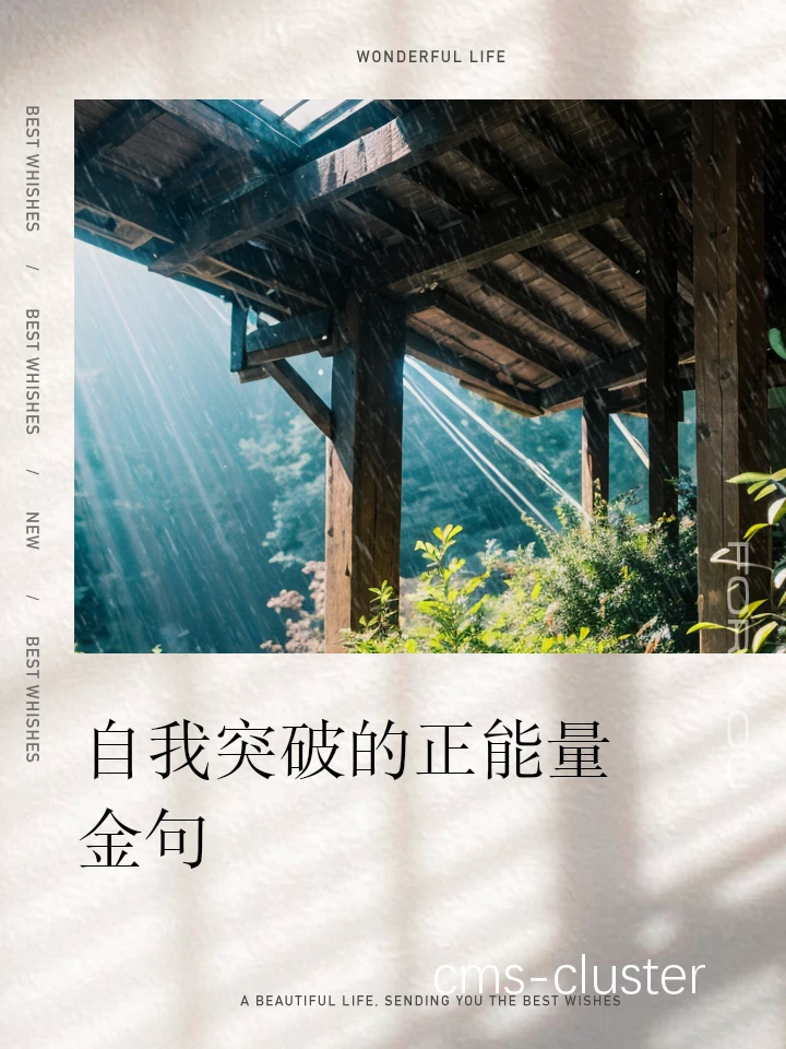 篮球训练中的进步
