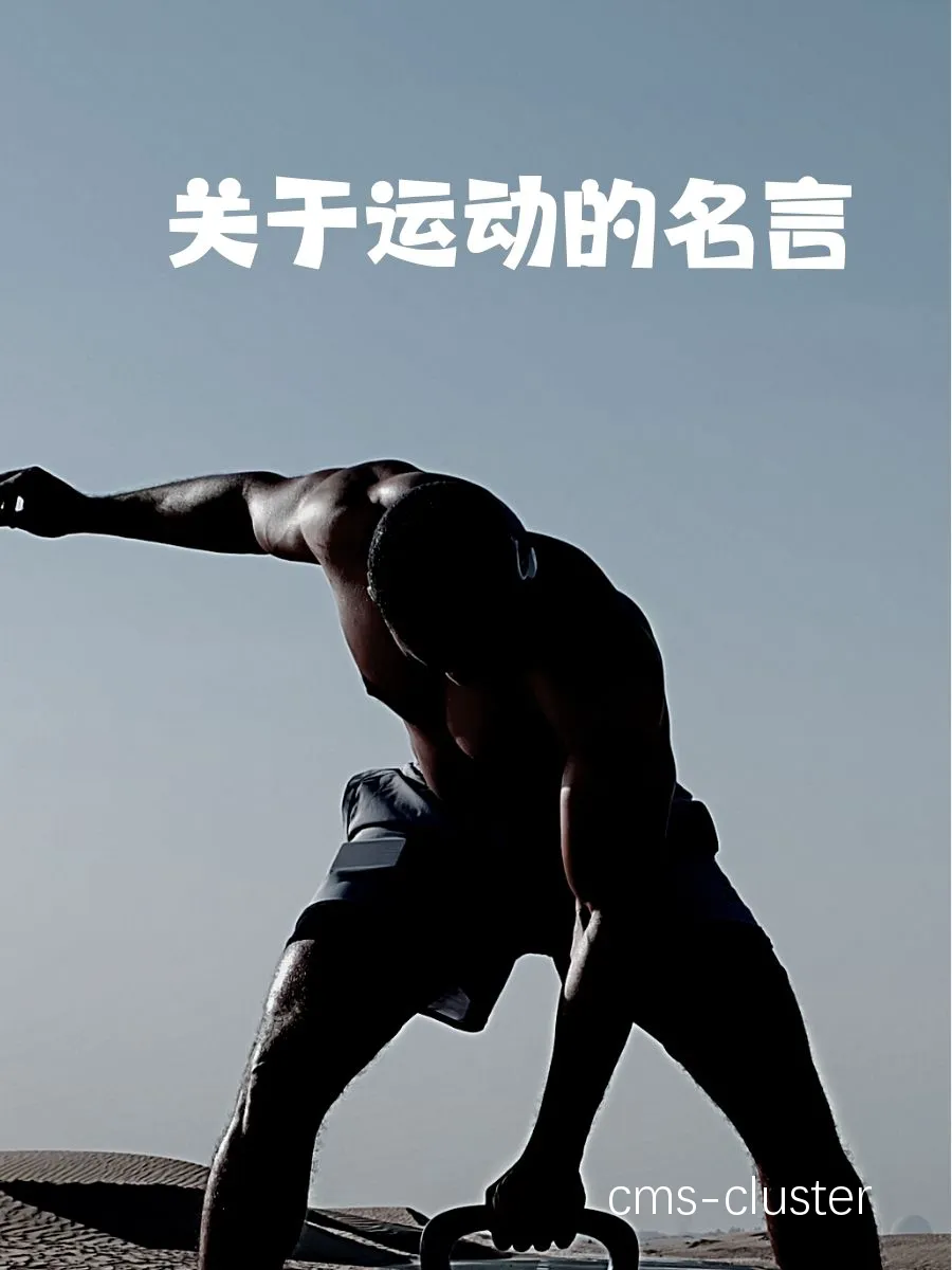 篮球英雄梦想