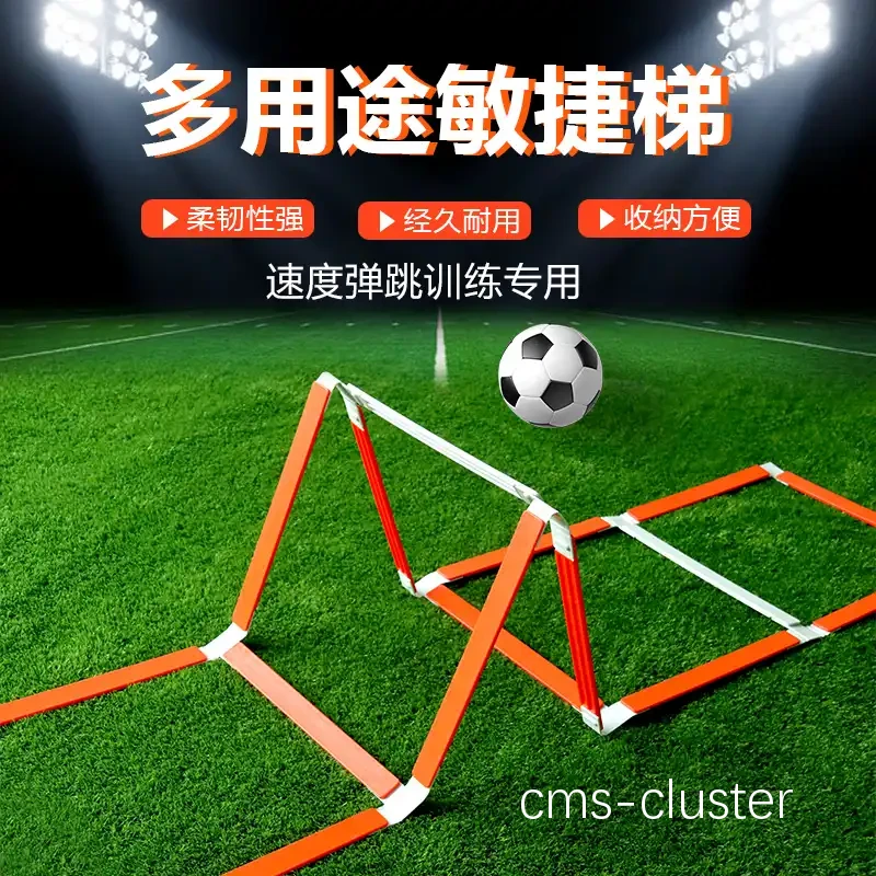 敏捷梯训练