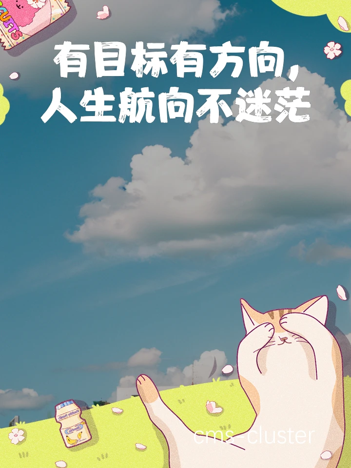 目标设定示例