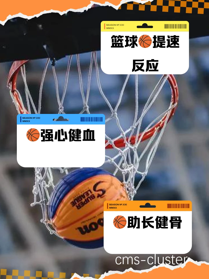 年龄与篮球训练的关系