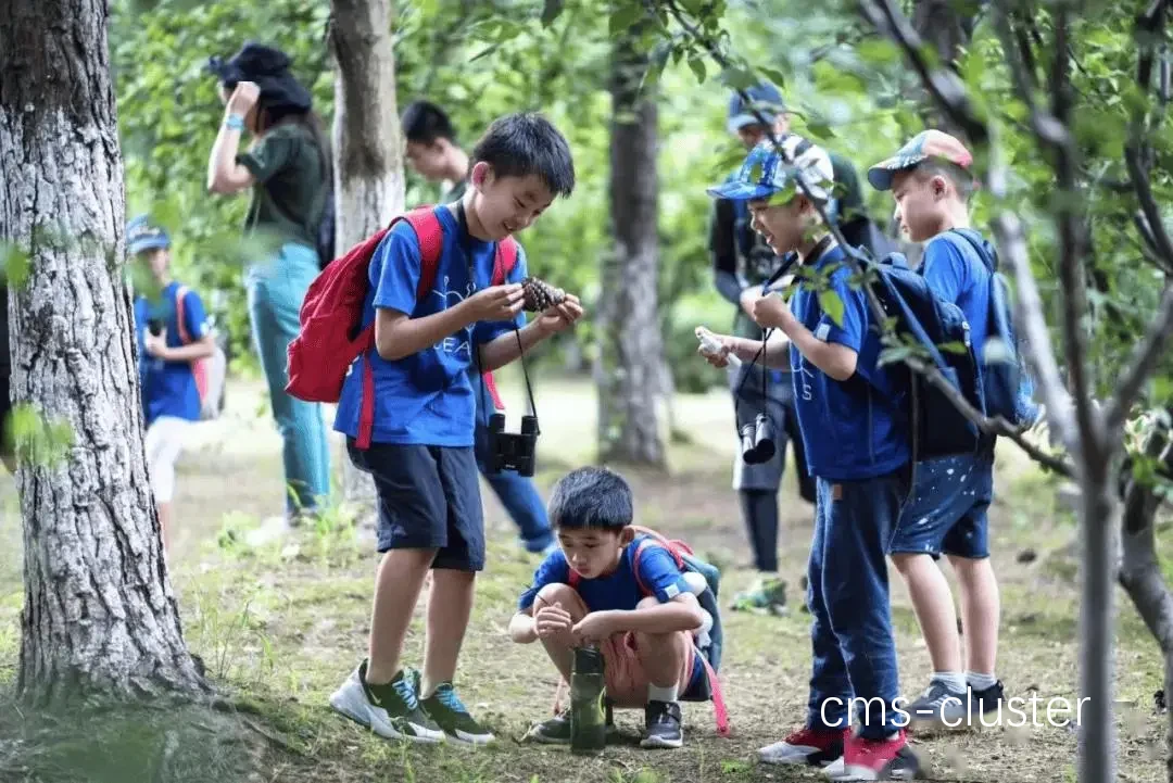 青少年篮球训练