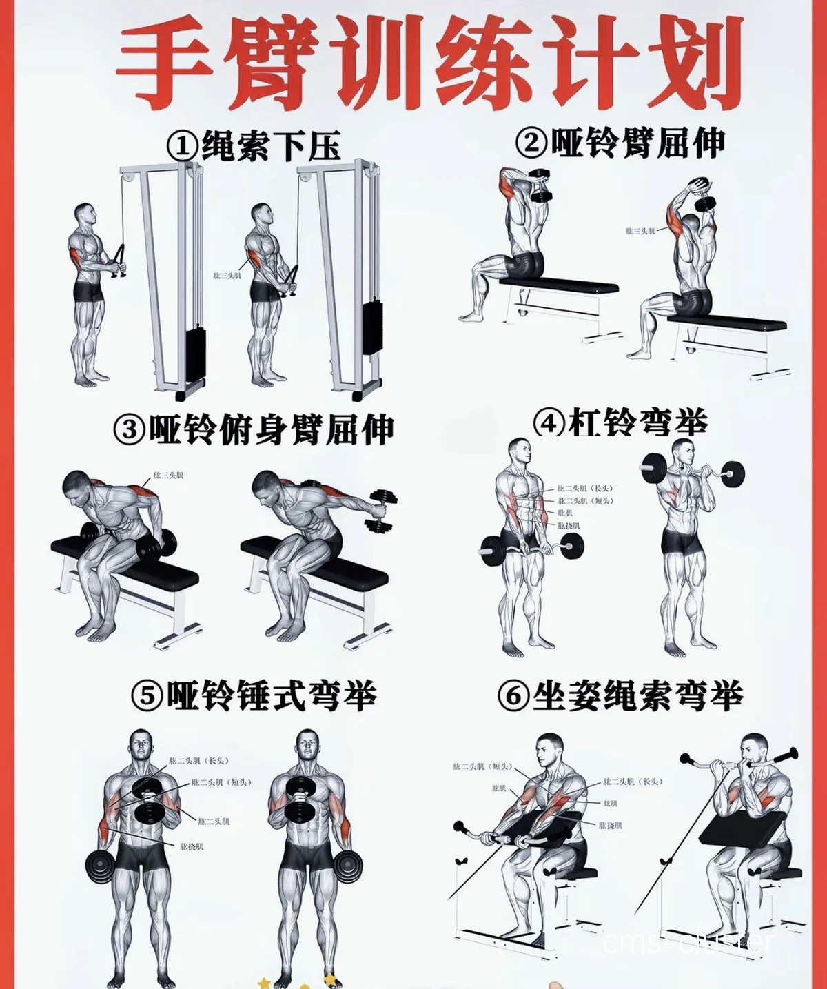 上肢力量训练示意图