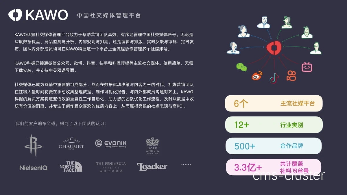 社交媒体推广示例