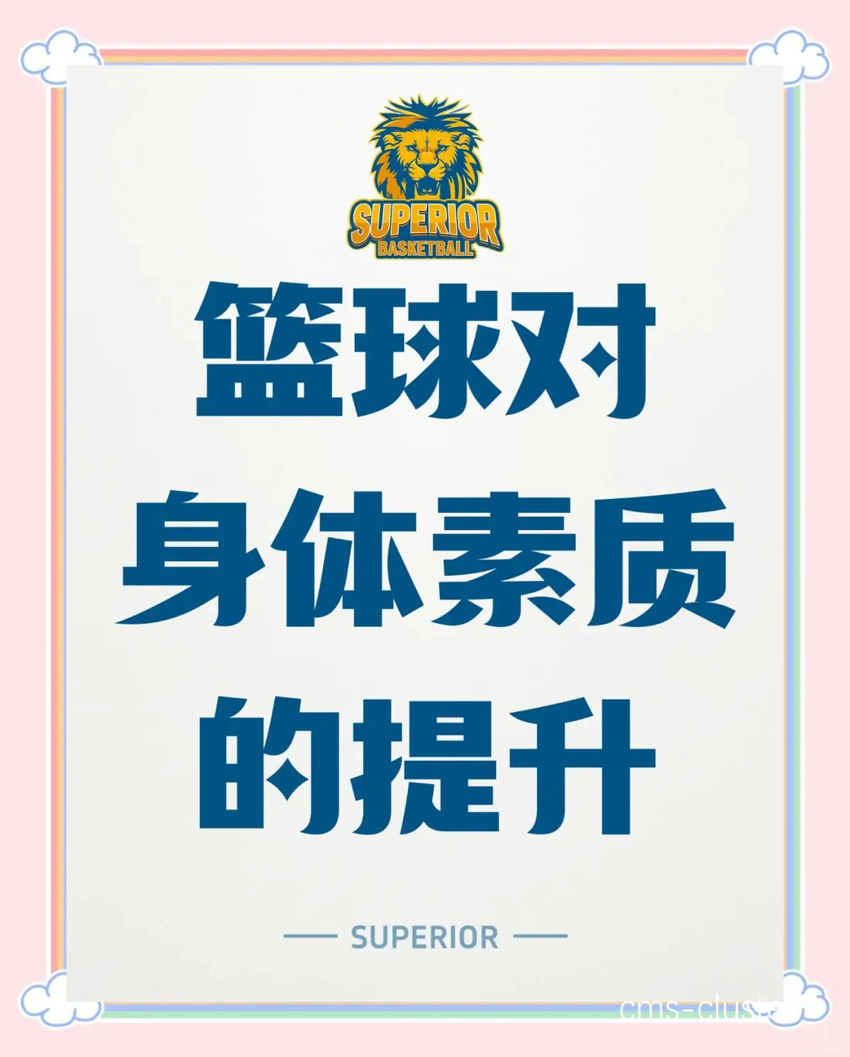 身体素质训练
