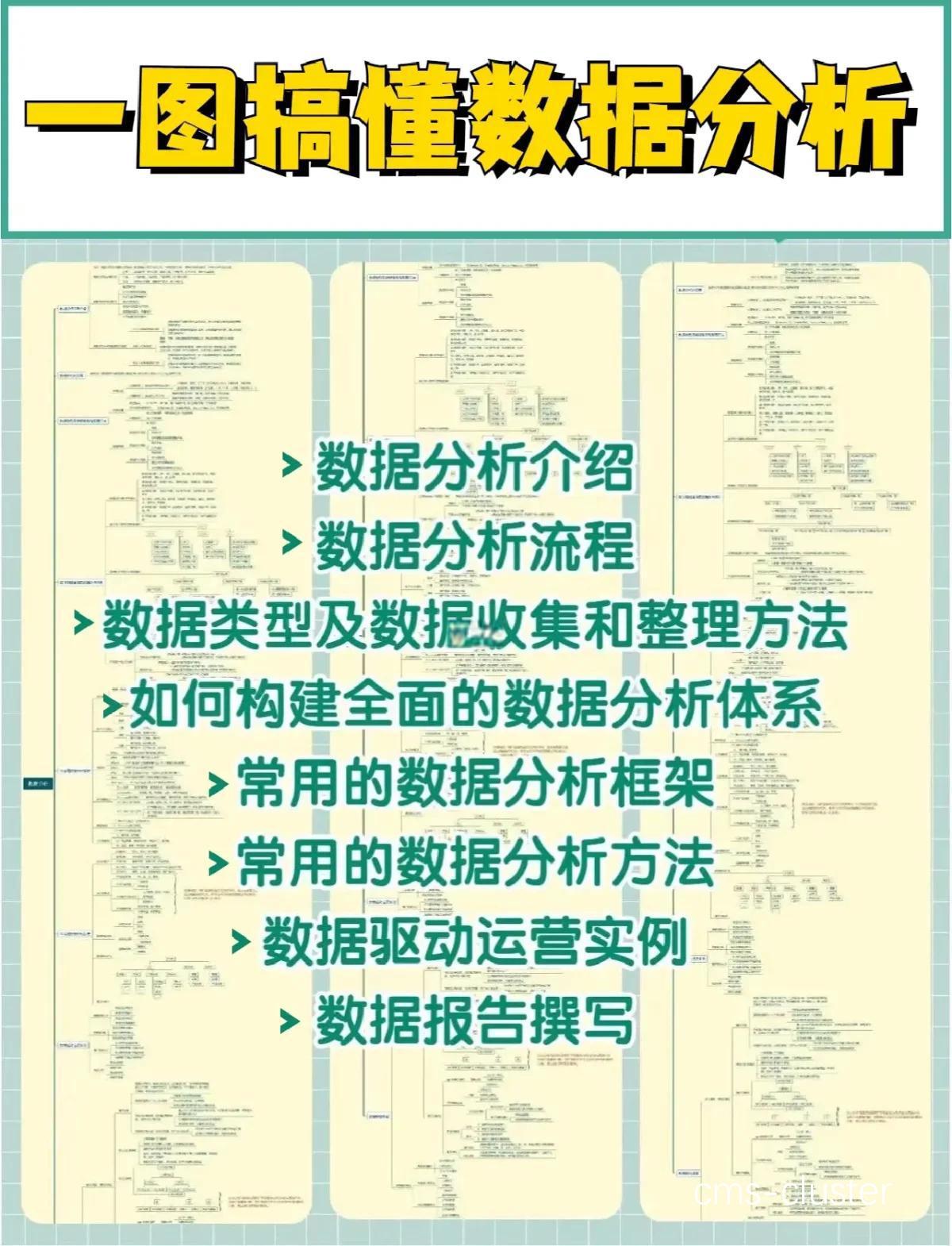 数据分析在篮球训练中的应用