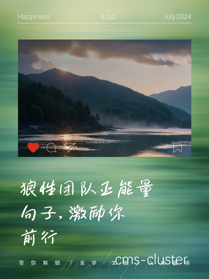 团队愿景的成功实践