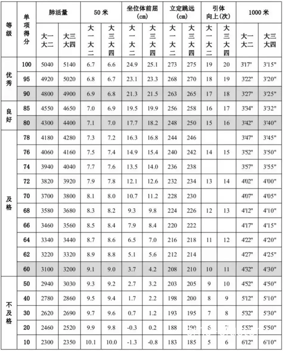 训练成果对比图