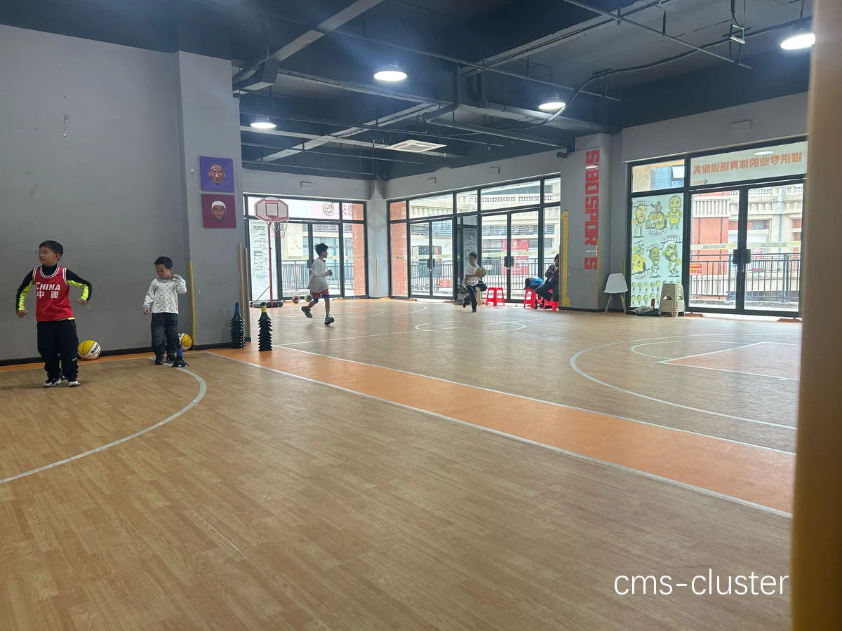 在家练习篮球的空间示意图