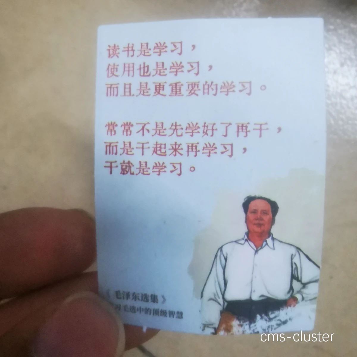 张先生的成功故事