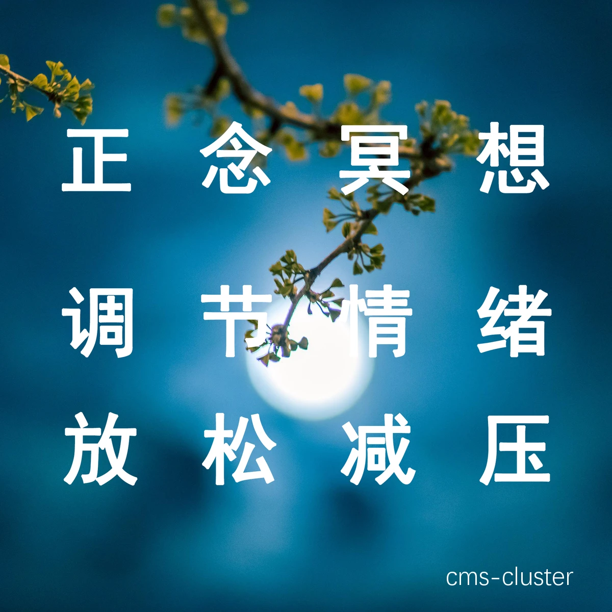 正念冥想示意图