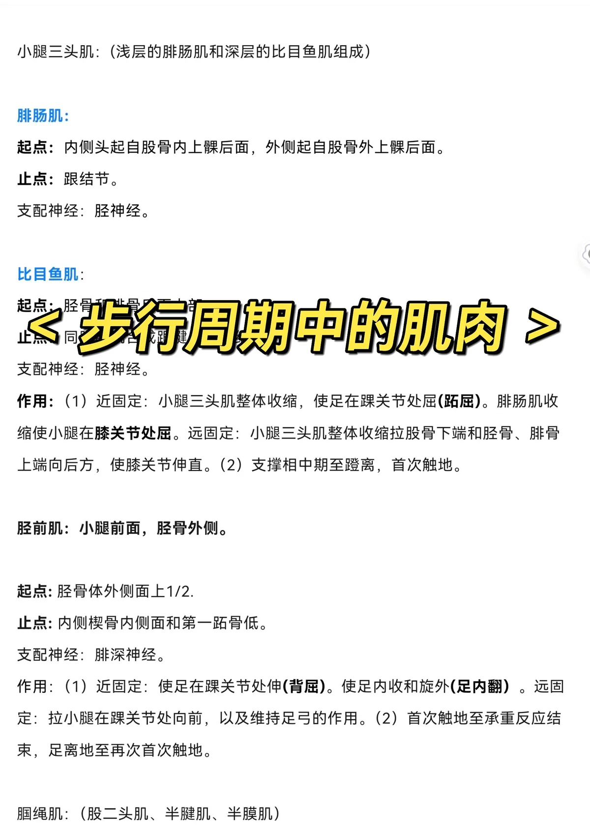 周期训练示意图