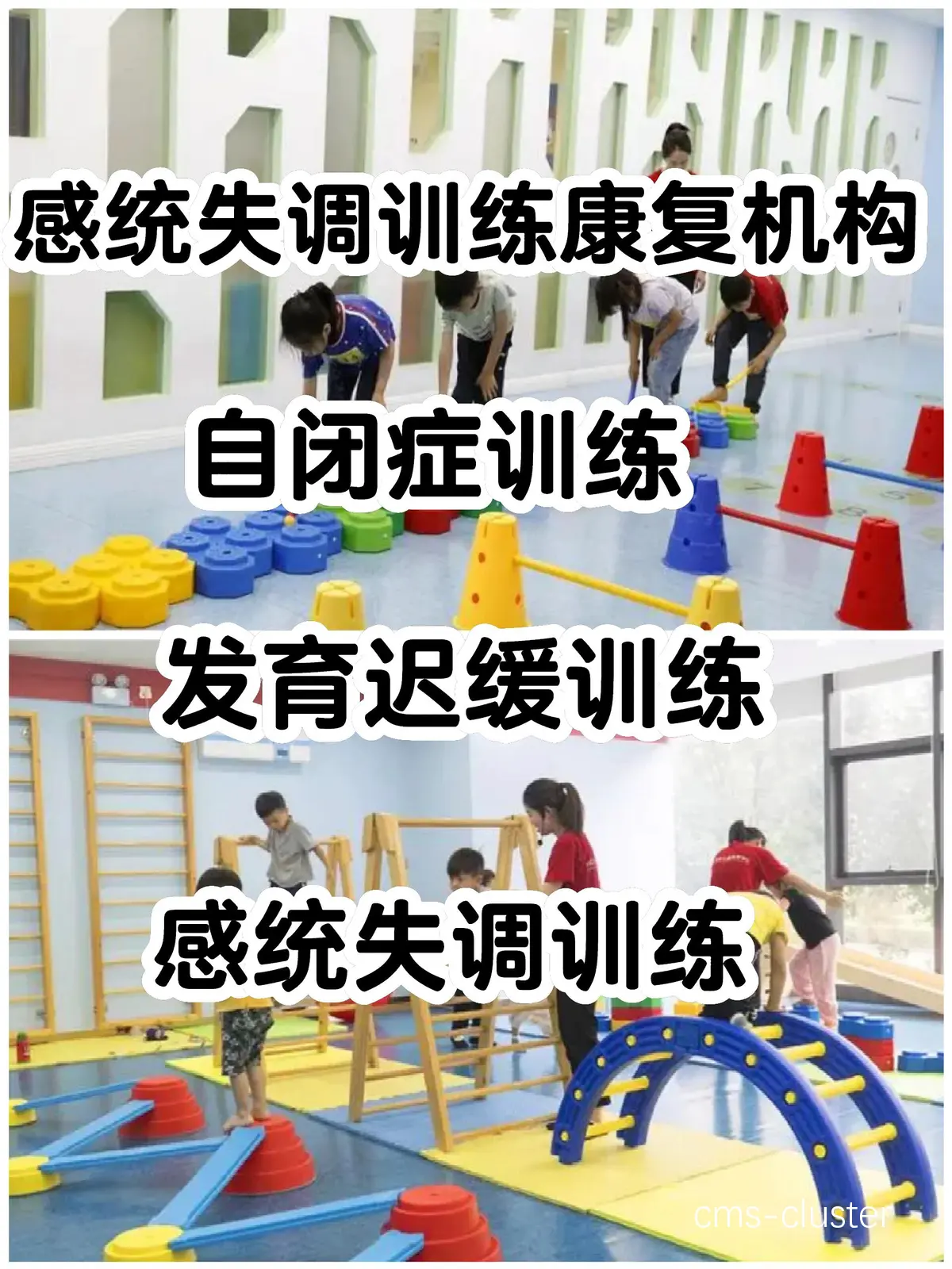 专业篮球训练机构