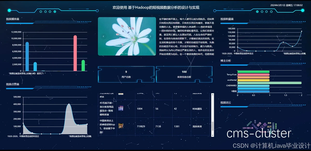 专业视频分析软件界面