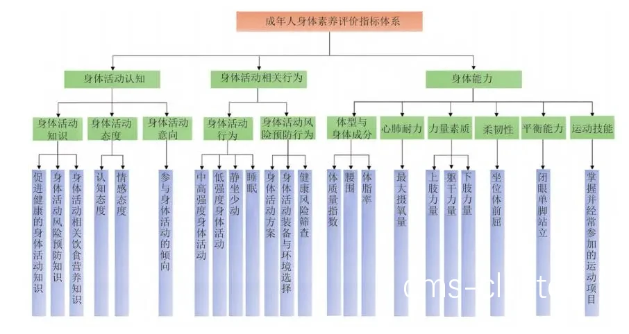 综合训练法流程图
