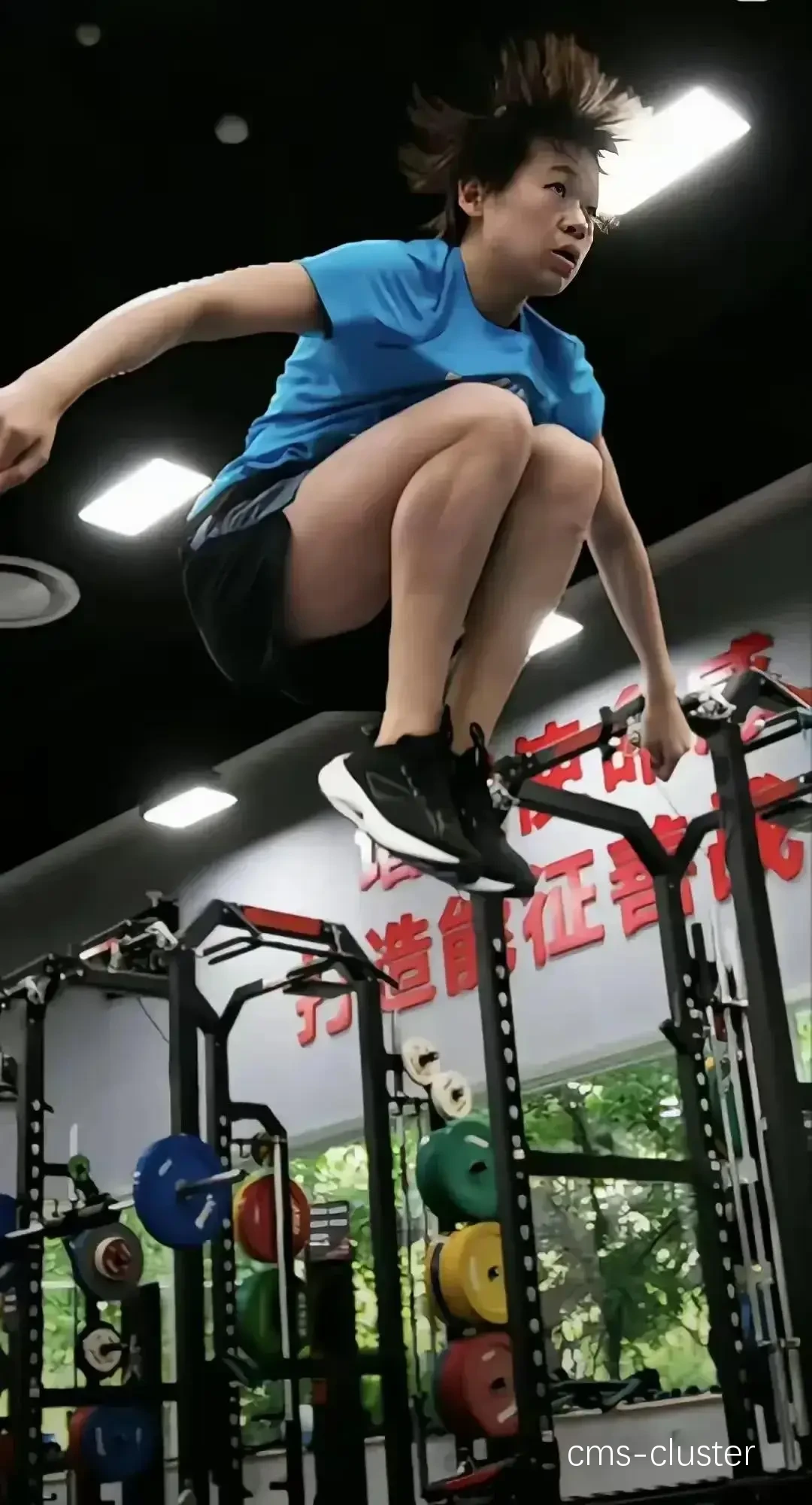 总结图表