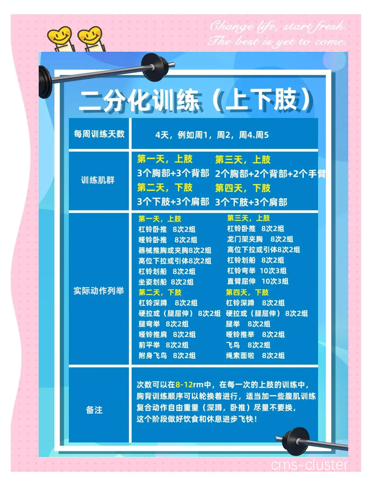 初级阶段训练