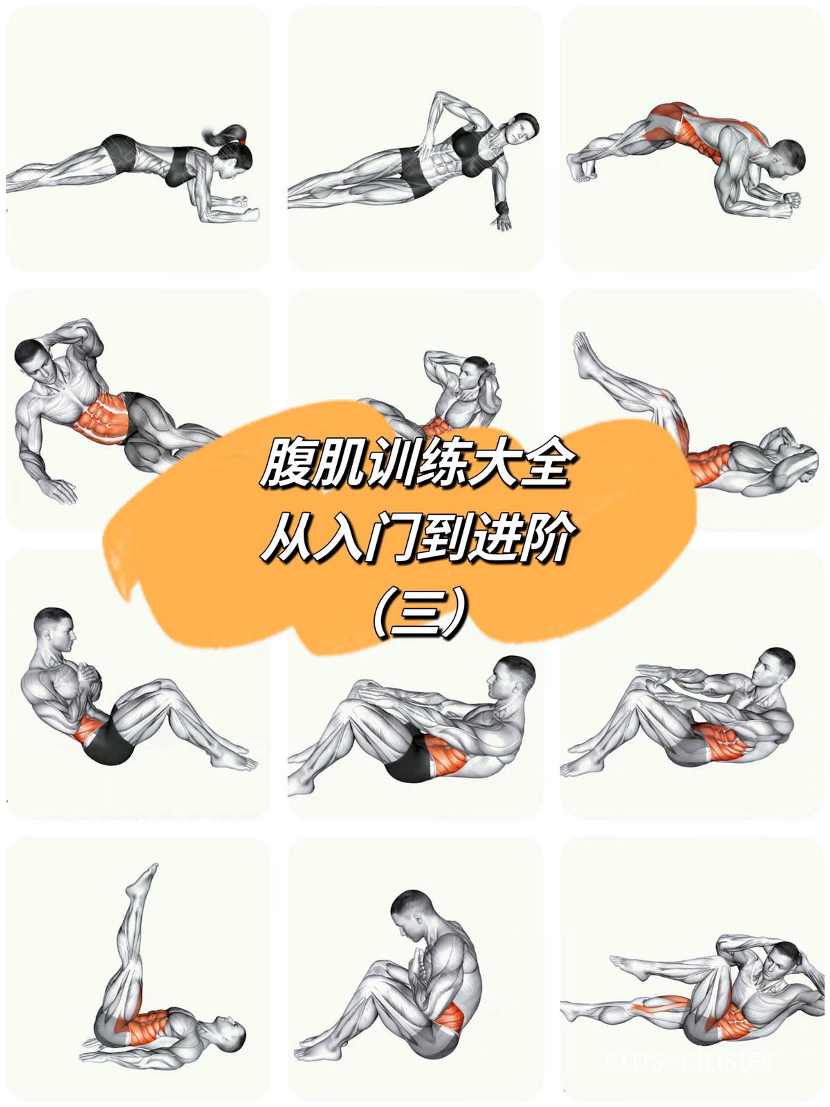 传统训练法的实际应用