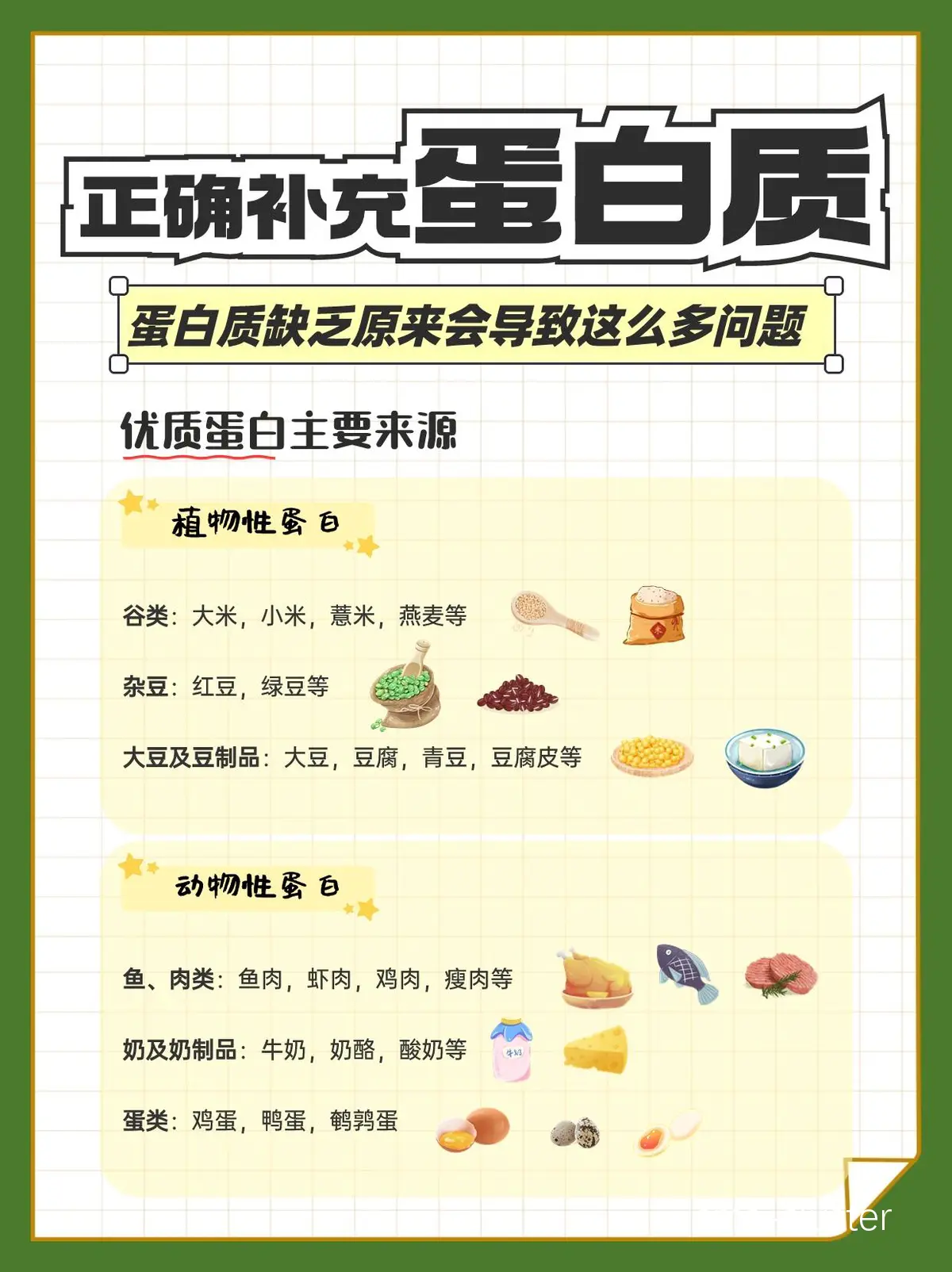 蛋白质补充示意图