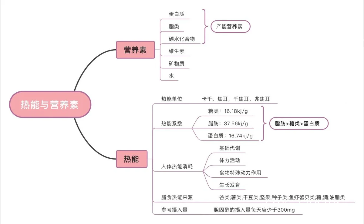个性化精准营养流程