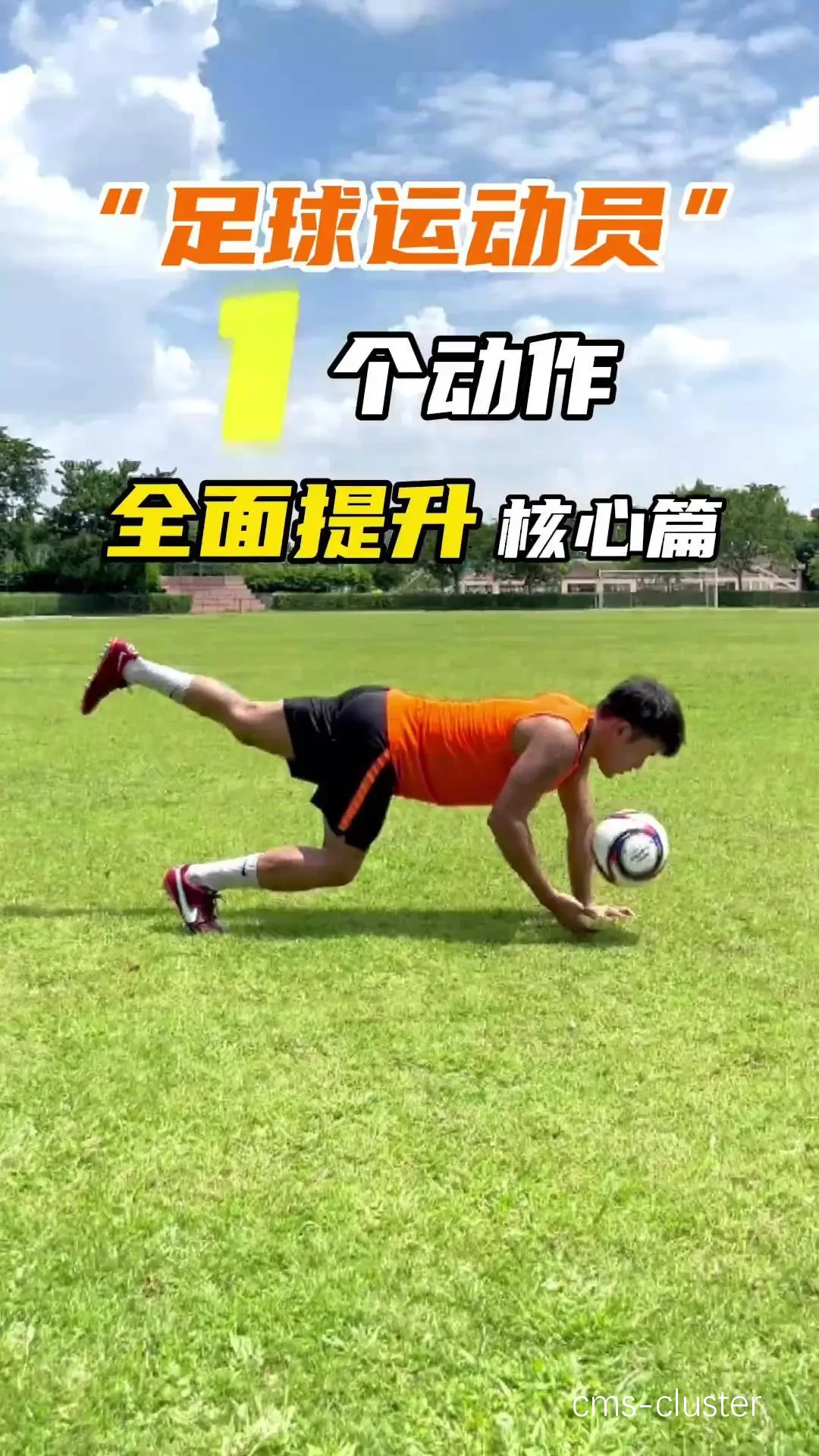 功能性训练示例