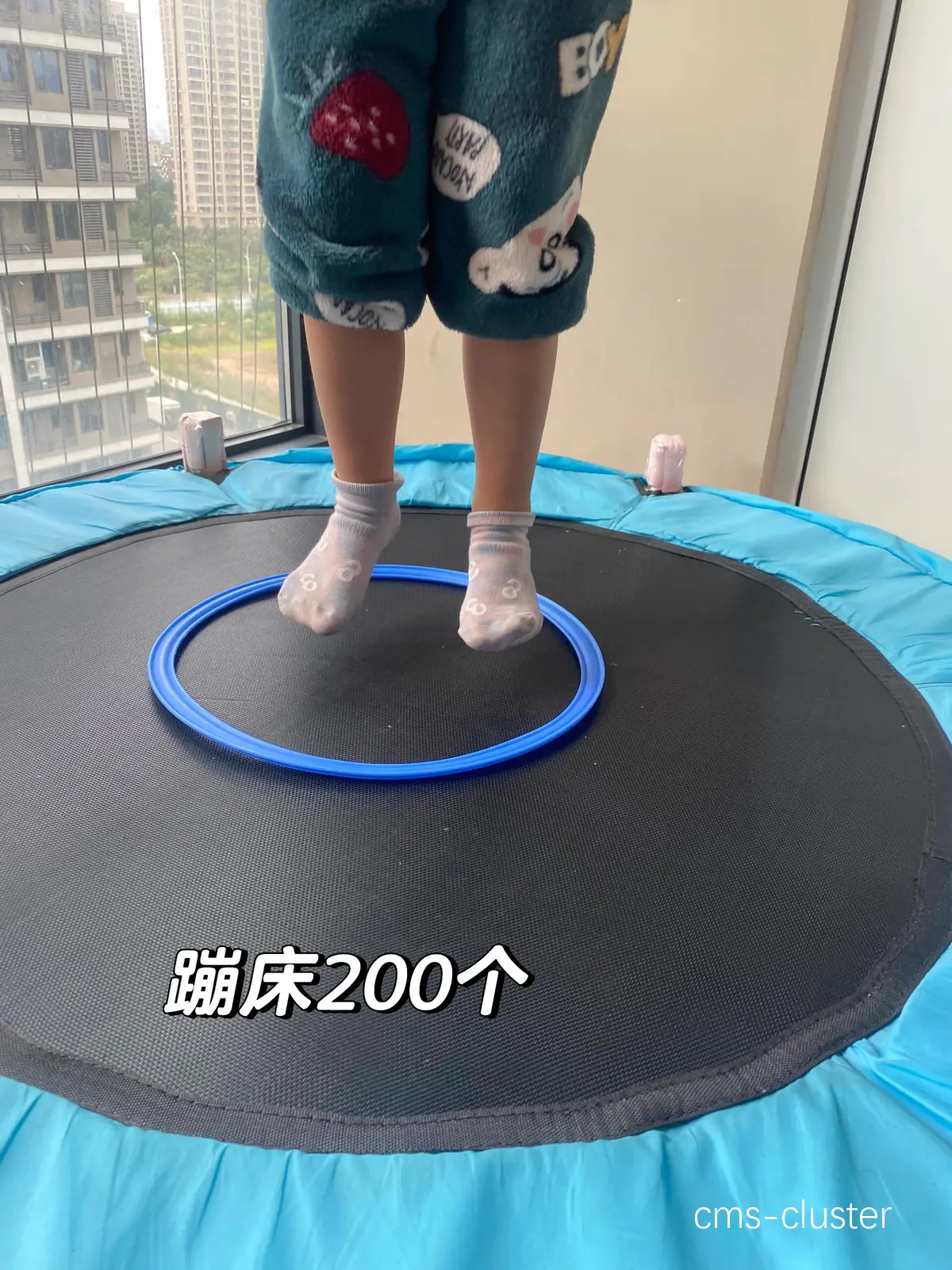 家庭训练示例