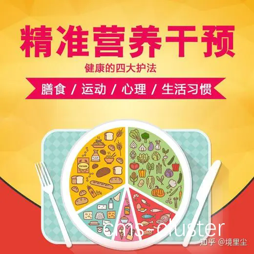 精准营养分析图