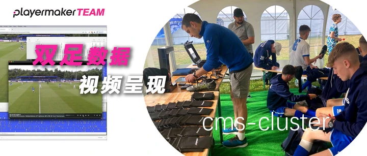可视化训练示意图