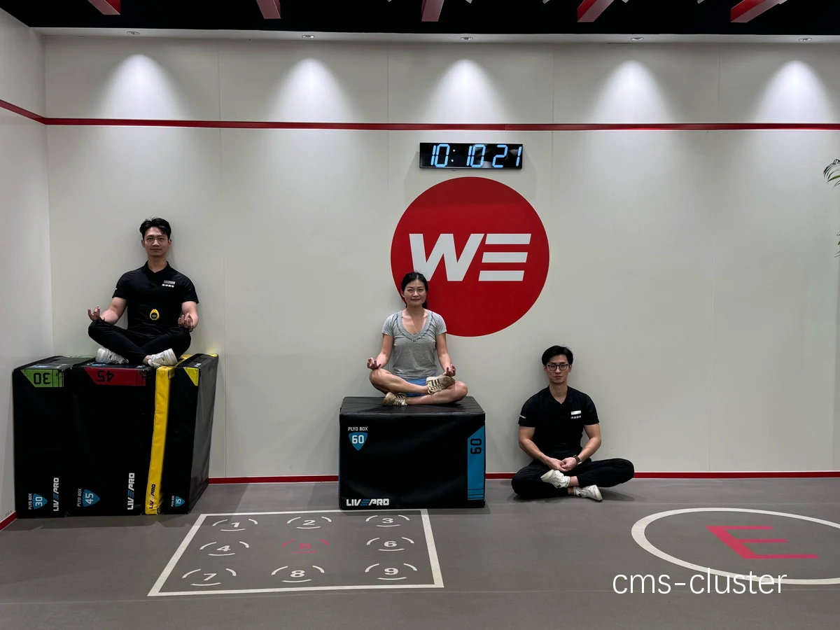 可视化训练示意图