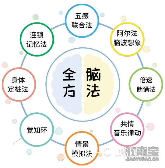 可视化训练示意图