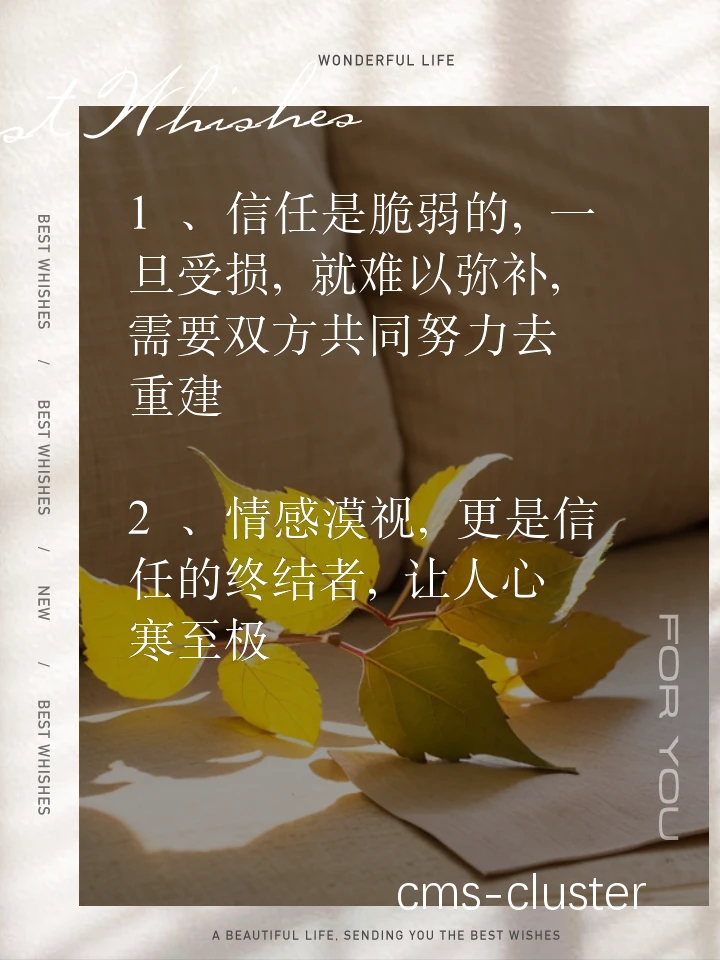 篮球比赛中团队信任