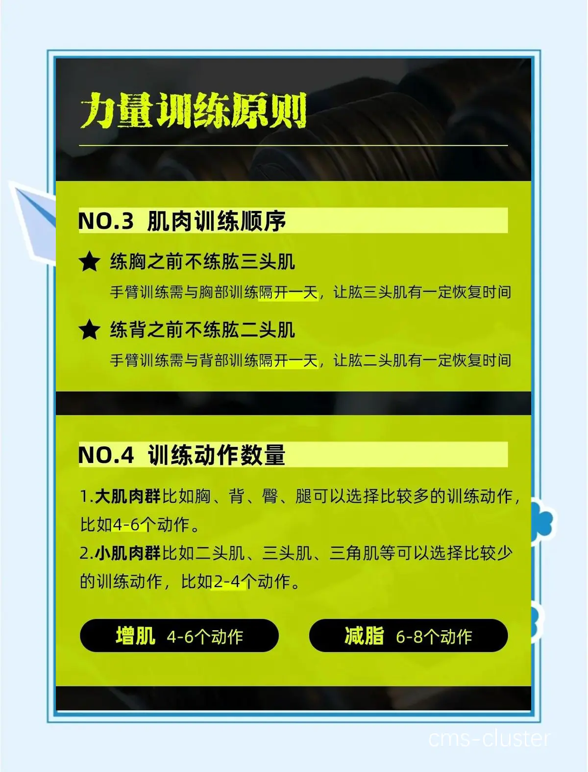 篮球场上高强度训练