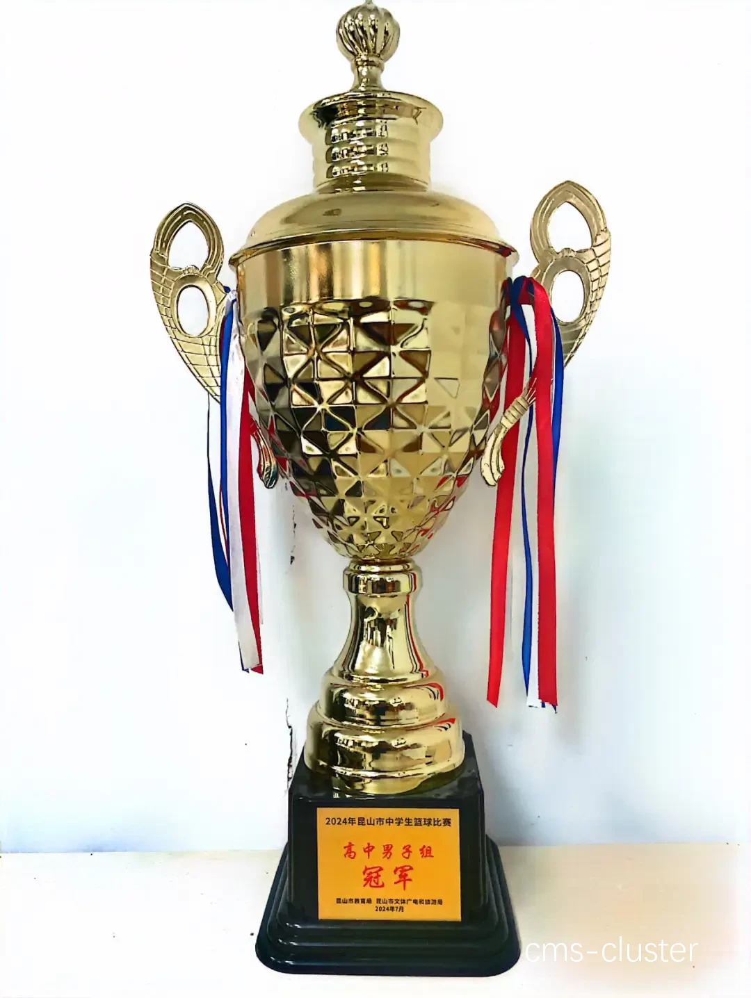 篮球奖项的意义