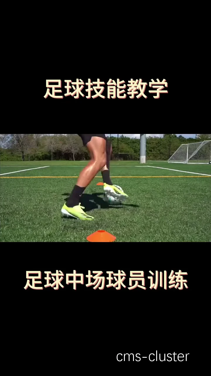 模拟比赛示例