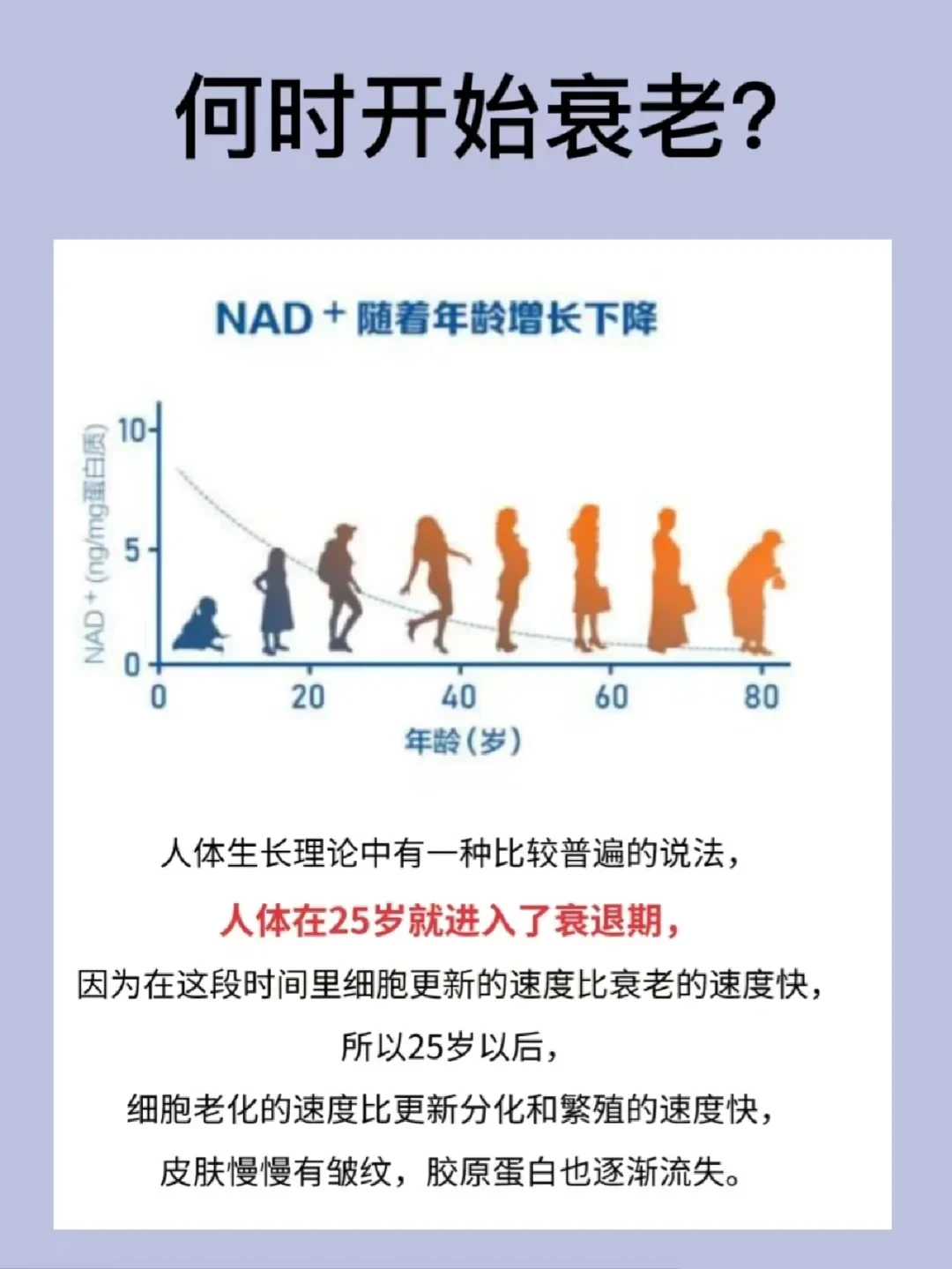 年龄对体能的影响