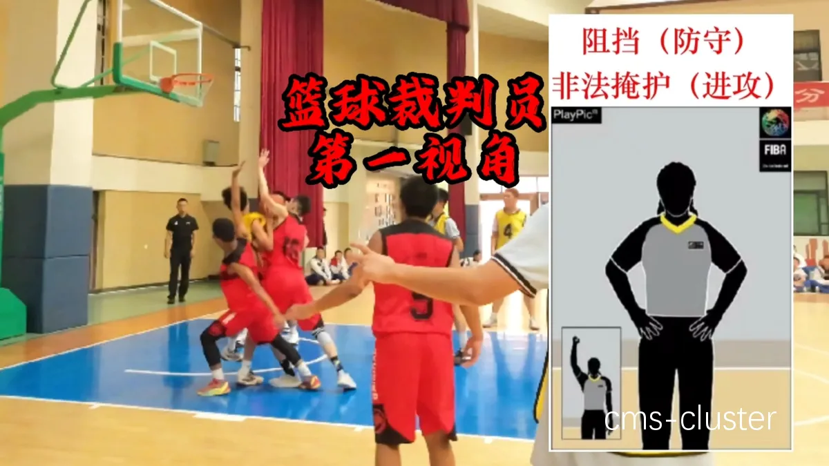 视频分析示意图