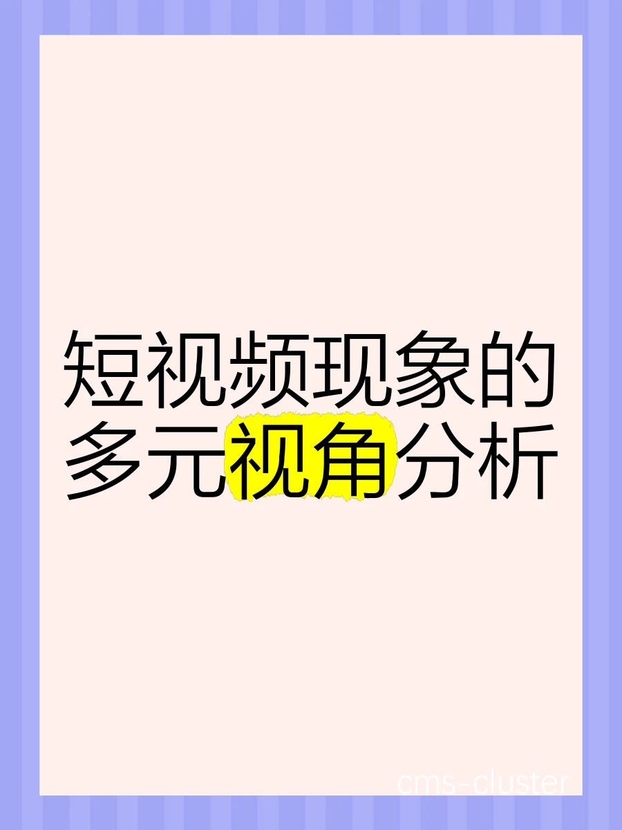 视频记录分析示意图